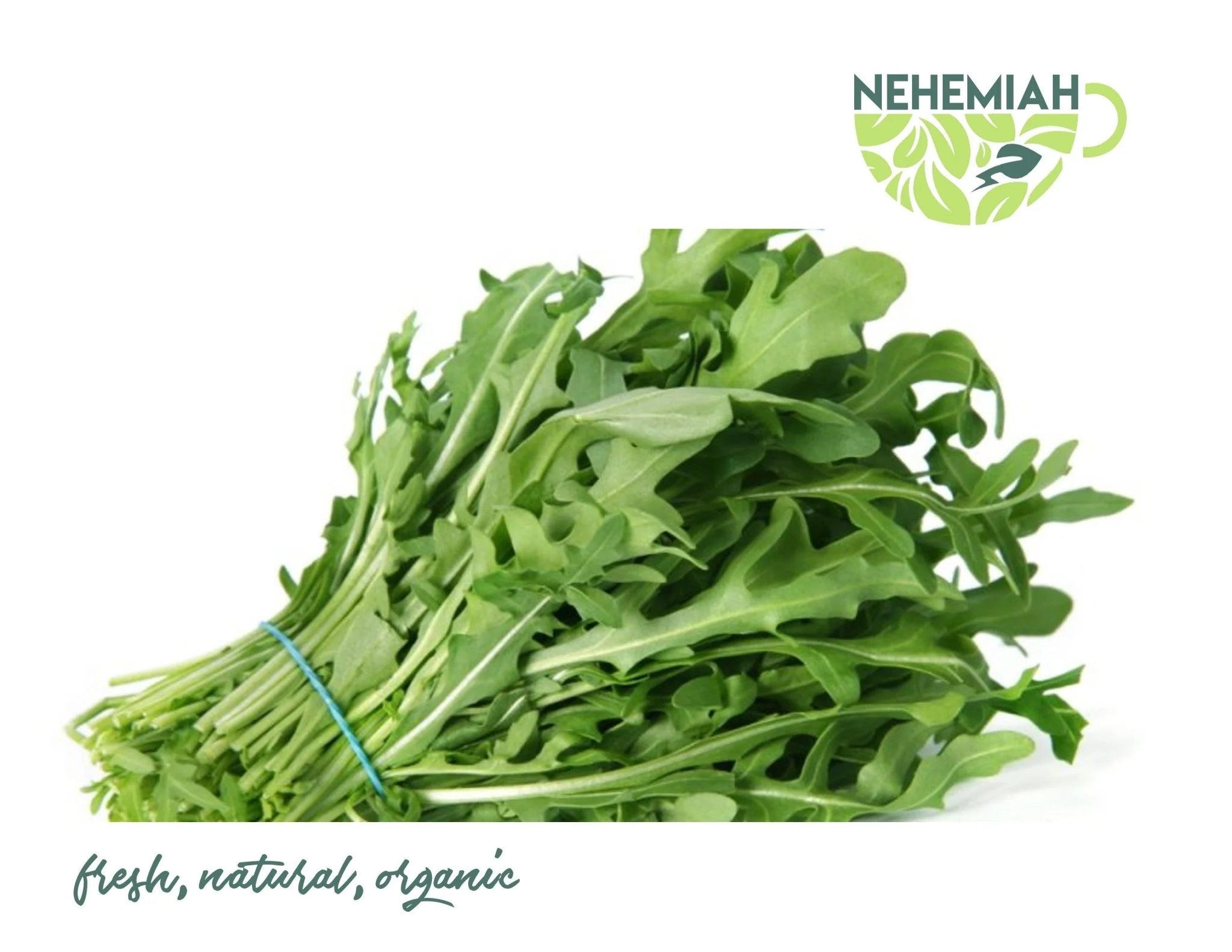 Fresh Arugula Nehemiah Superfood