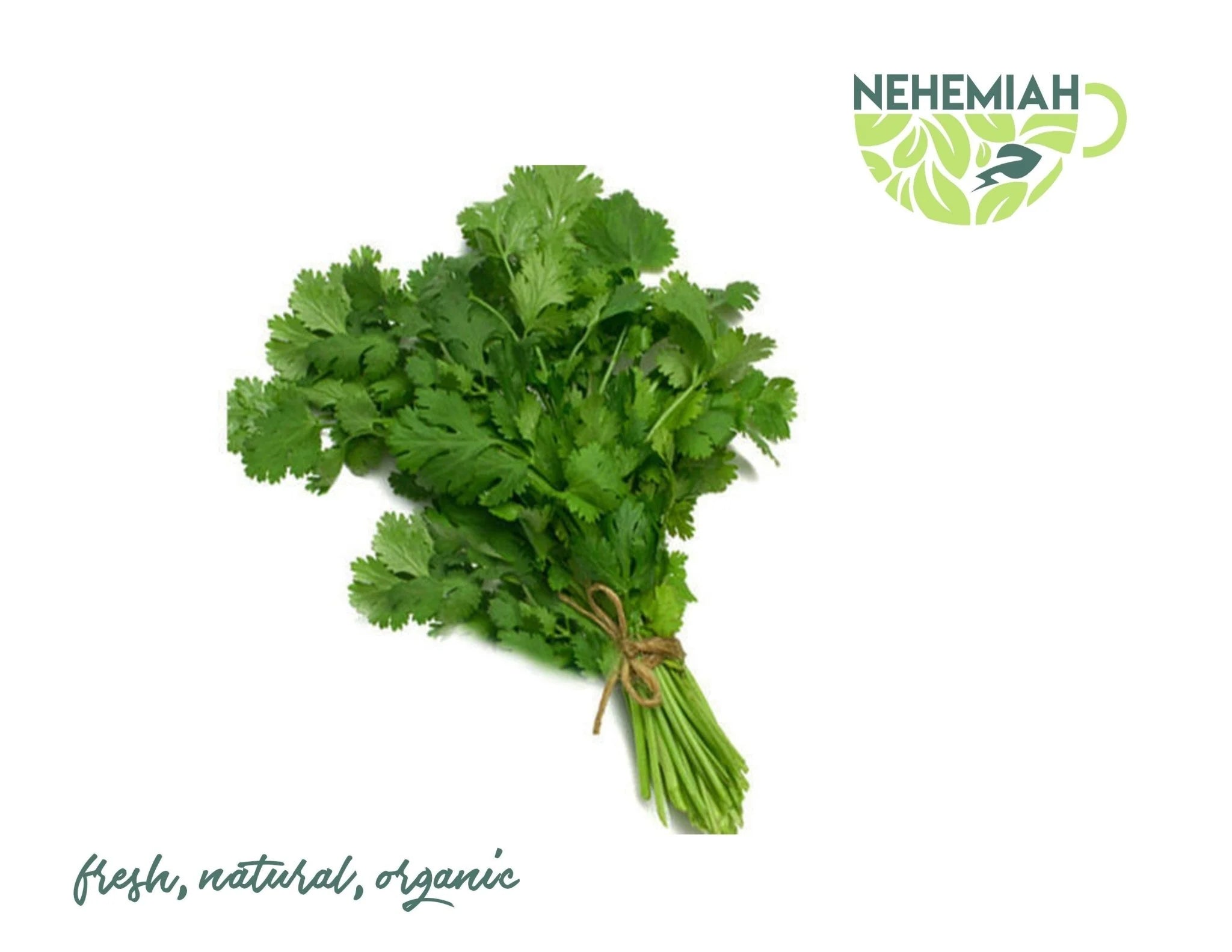 Coriander Nehemiah Superfood