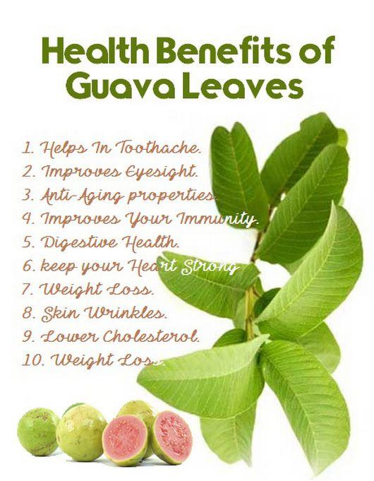 Pure  Guava Leaves Powder
