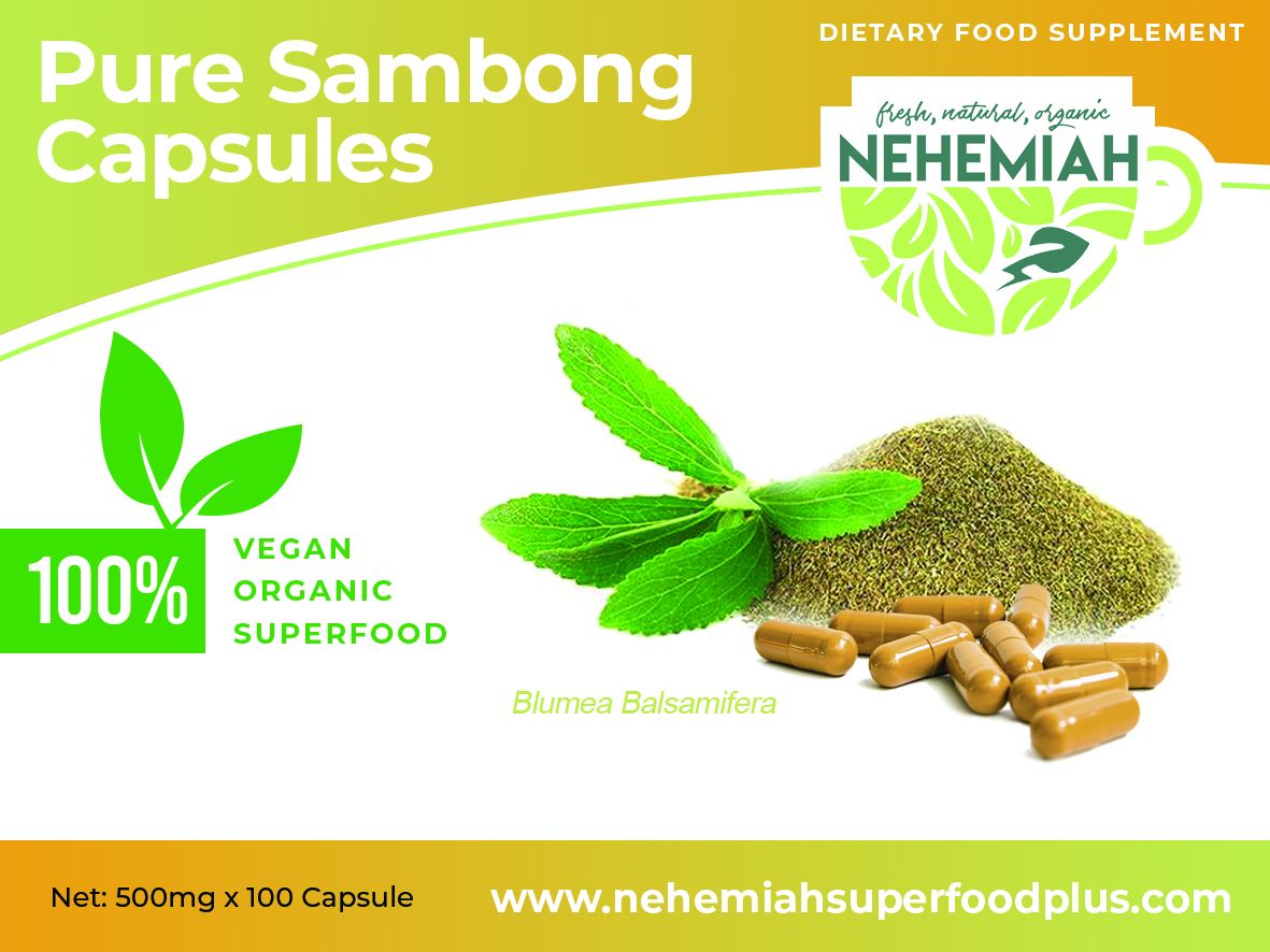 100% Natural Pure Sambong CAPSULES - Organic Non-GMO 100's