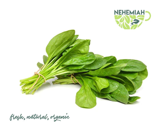 Nehemiah Superfood Fresh Spinach
